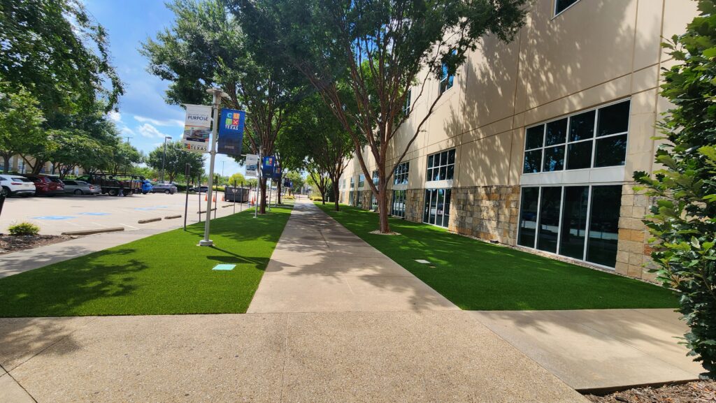 Commercial turf office building walkway - Green Forever Turf Texas