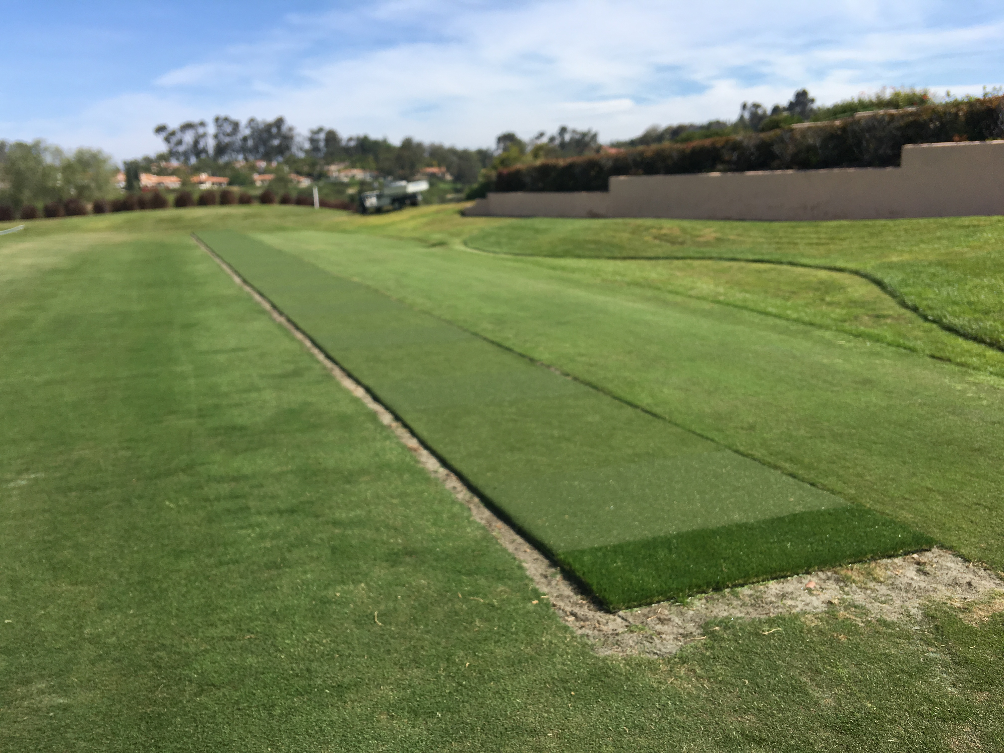 Sports field long golf tee lane - Green Forever Turf Texas